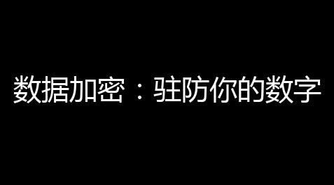 【英雄联盟手机游戏破解版】密保命的關護你的鍵數據加數字生