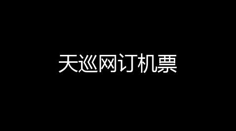 【暖雪修改器辅助】天巡网订机票