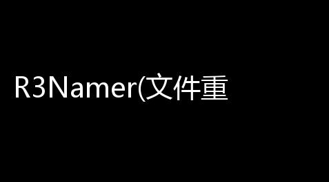 R3Namer(文件重命名工具) 11 官方版【一念逍遥辅助什么时候开】