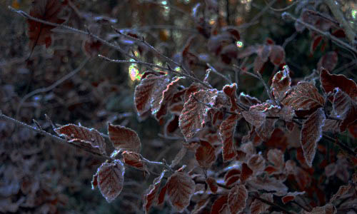 Qq名片点赞链接,如何高效生成高质量文本摘要：提升信息处理效率的实用指南